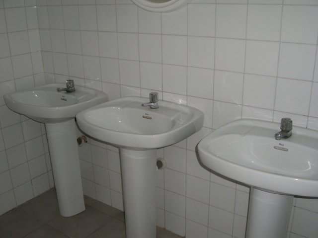 aseosepatiotraserofucares